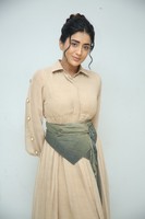 Rashi Singh at Paanch Minar Success Meet
